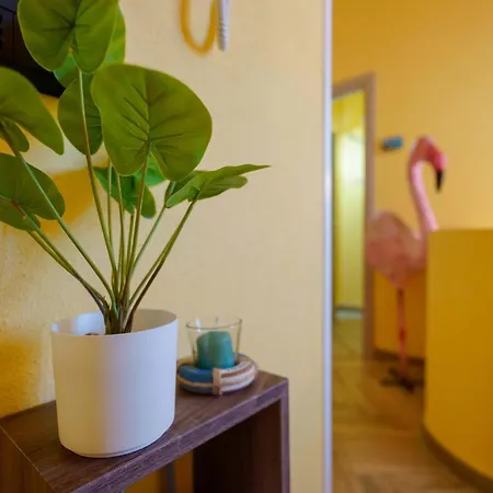 Paradise * Quartu SantʼElena